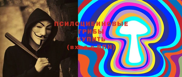 spice Аркадак