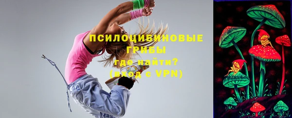 дурь Арсеньев