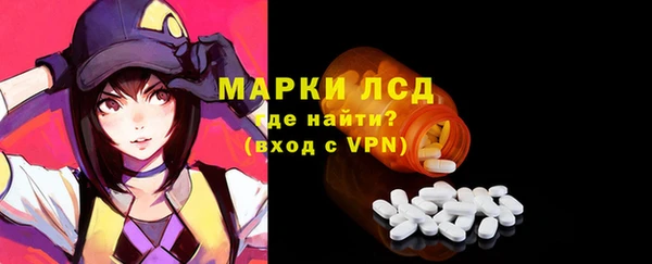 spice Аркадак